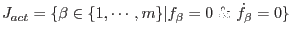 $\displaystyle J_{act}=\{\beta\in\{1,\cdots,m\}\vert f_\beta=0\ \&\ \dot{f}_\beta=0\}$